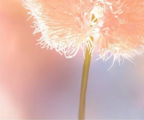 Desvendando a Cor do Ano 2024: Uma Jornada de Inovação e Expressão