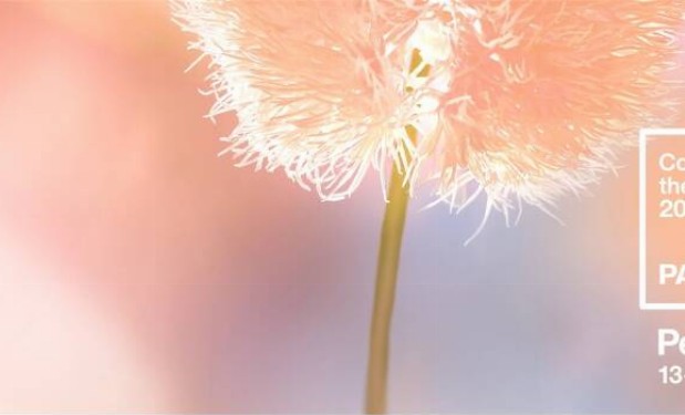 Desvendando a Cor do Ano 2024: Uma Jornada de Inovação e Expressão