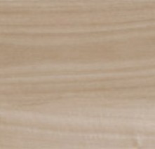 PORCELANATO ARAUCARIA CLARA NATURAL - 20x120